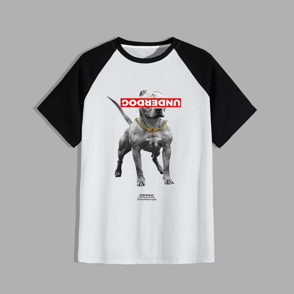 

Men Dog & Slogan Graphic Raglan Sleeve Tee, White