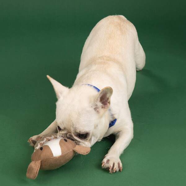 

Dog Shaped Pet Sound Toy, Brown