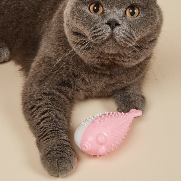 

Fish Shaped Pet Chew Toy, Pink