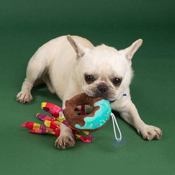 

Donuts Shaped Pet Sound Toy, Multicolor