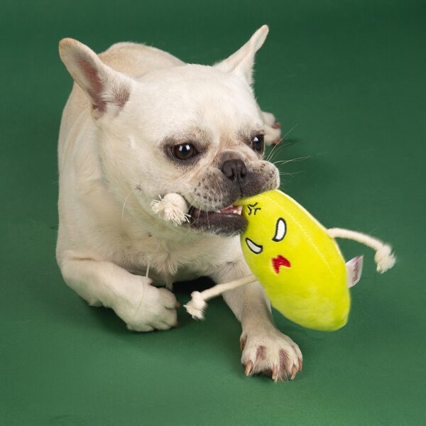 

Cartoon Plush Pet Sound Toy, Yellow