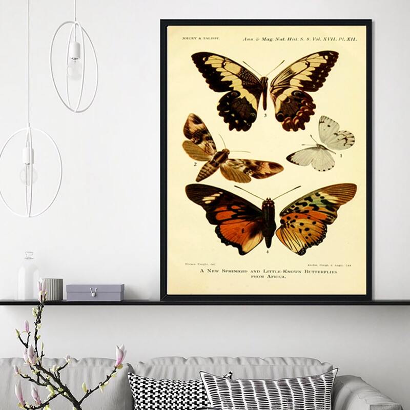 

Butterfly Print Unframed Painting, Multicolor