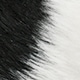 Blanco y Negro