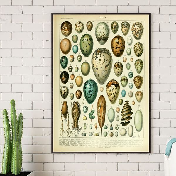 

Egg Print Unframed Painting, Multicolor