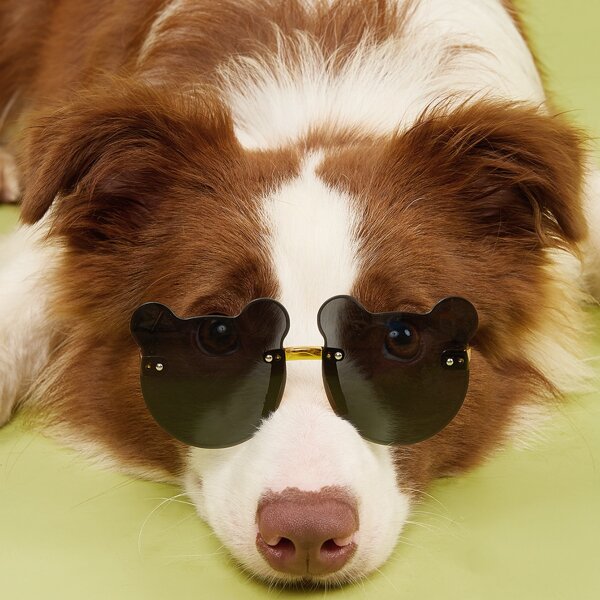 

1pair Cartoon Design Pet Glasses, Black