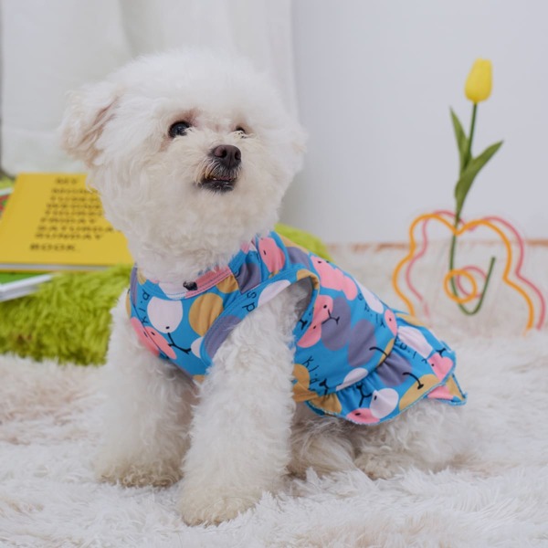 

Fruit Print Pet Dress, Blue