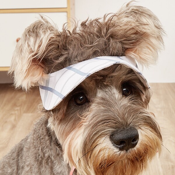 

Plaid Pattern Pet Sunhat, White