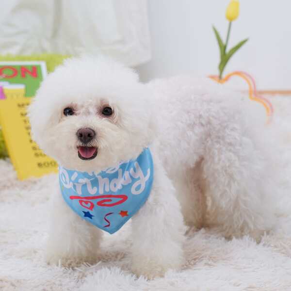 

Slogan Graphic Pet Bandana, Blue