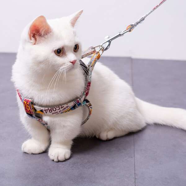 

Letter Graphic Pet Harness & 1pc Leash, Multicolor