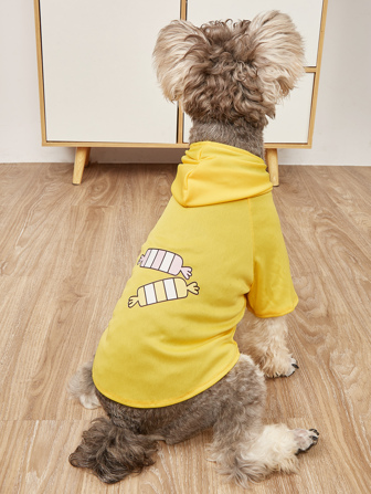 Candy Print Pet Hoodie