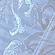 trắng