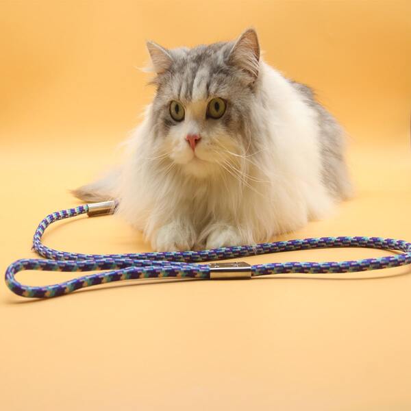 

1pc Woven Pet Leash, Multicolor