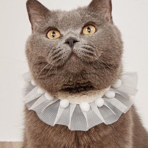 

Pom Pom Decor Pet Lace Necklace, White