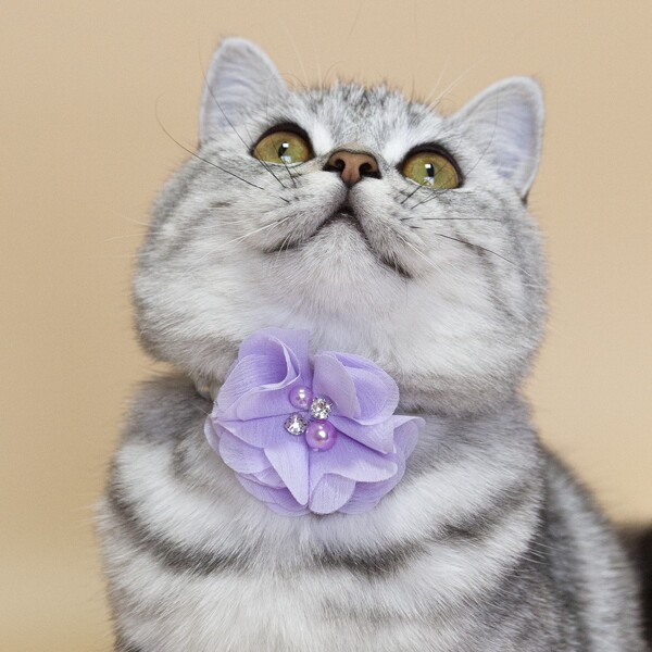 

Flower Decor Pet Pearl Necklace, Purple