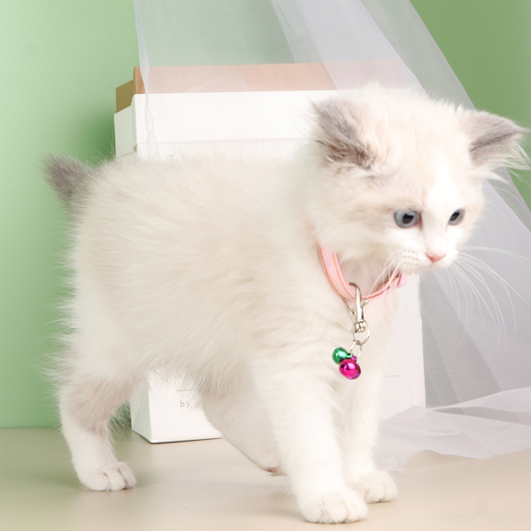 

1pc Pet Bell Pendant, Multicolor
