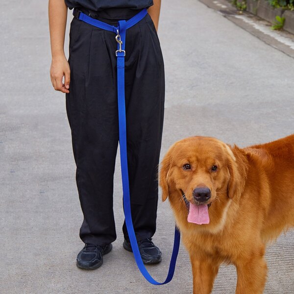 

1pc Pet Outdoor Running Leash With Adult Belt, Blue