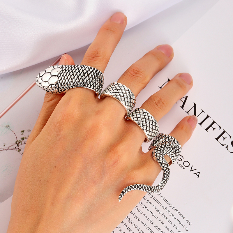 

4pcs Serpentine Rings, Silver