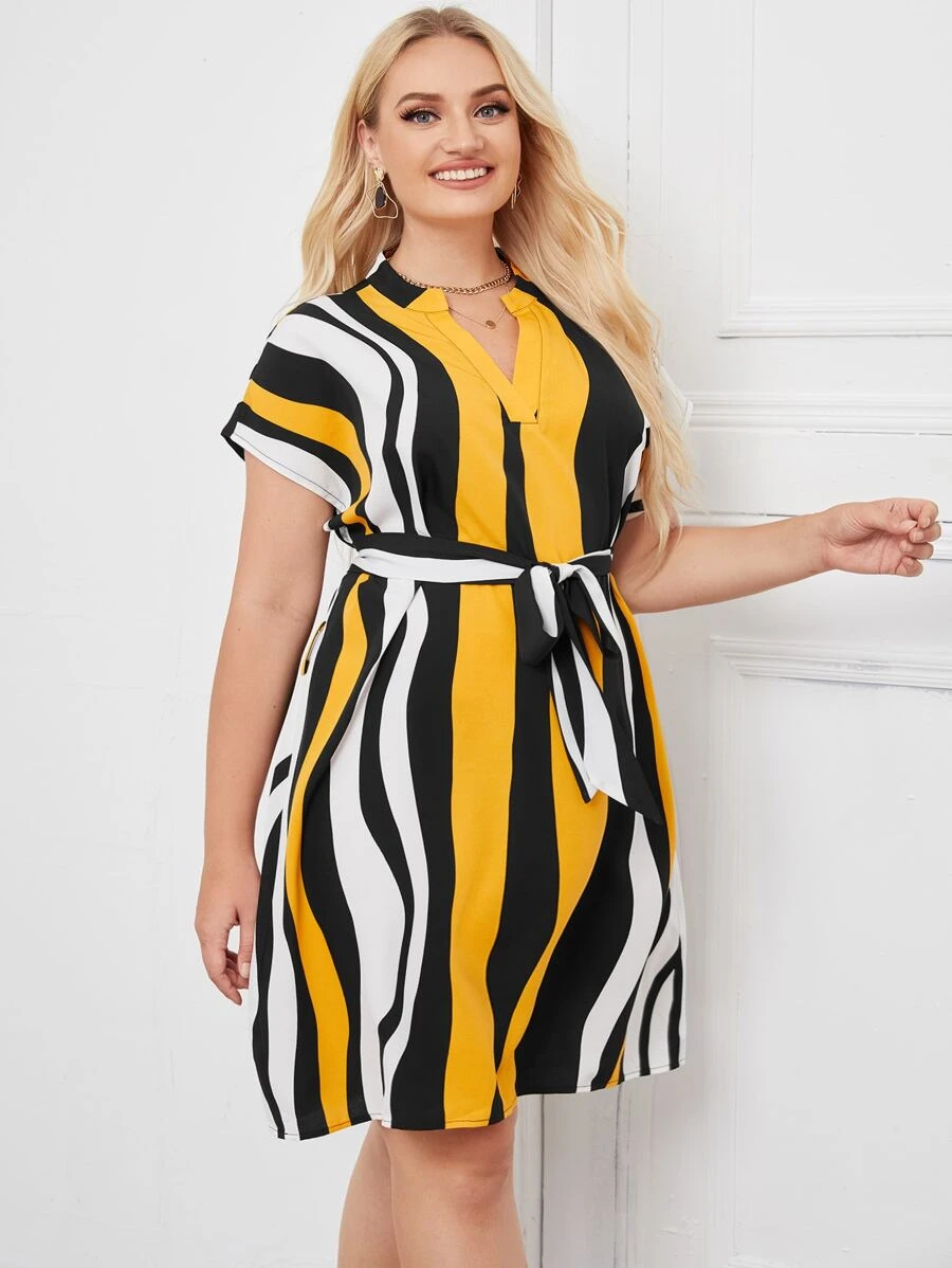 SHEIN Clasi Đầm Plus Size Thắt lưng Sọc Giải trí - Nhiều màu - Xem 1