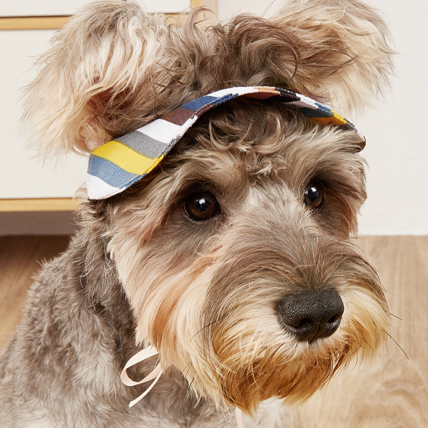 

Striped Pattern Pet Hat, Multicolor