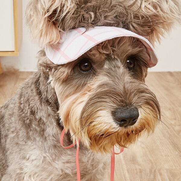 

Plaid Pattern Pet Hat, Baby pink