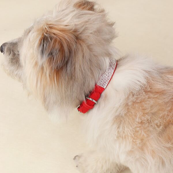 

Rhinestone Decor Pet Collar, Red