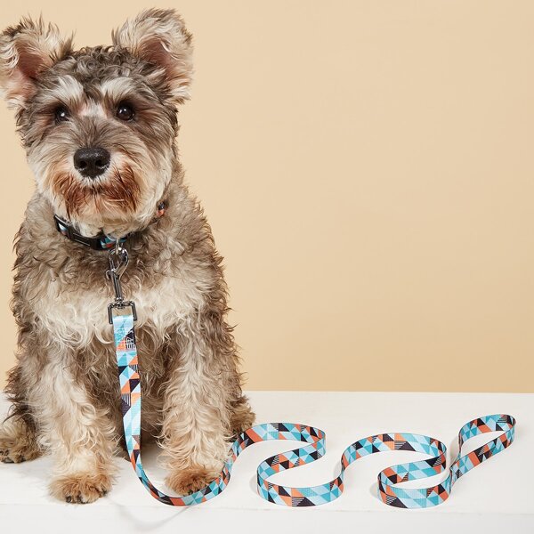 

1pc Geometric Pattern Pet Leash & 1pc Collar, Multicolor