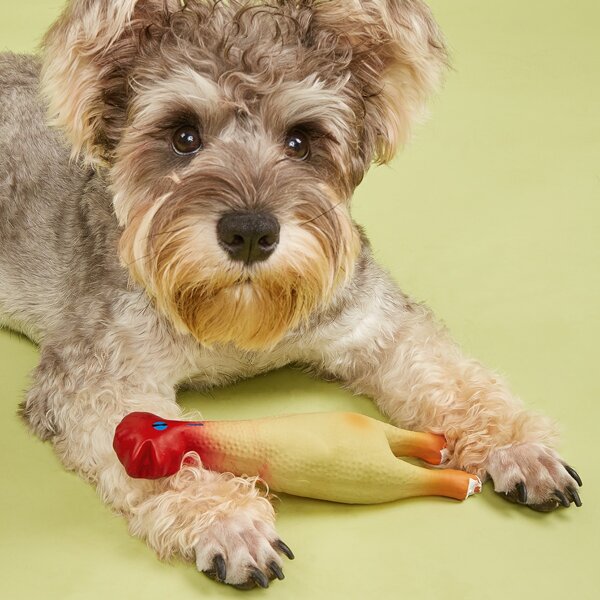 

1pc Chicken Shaped Pet Sound Toy, Yellow