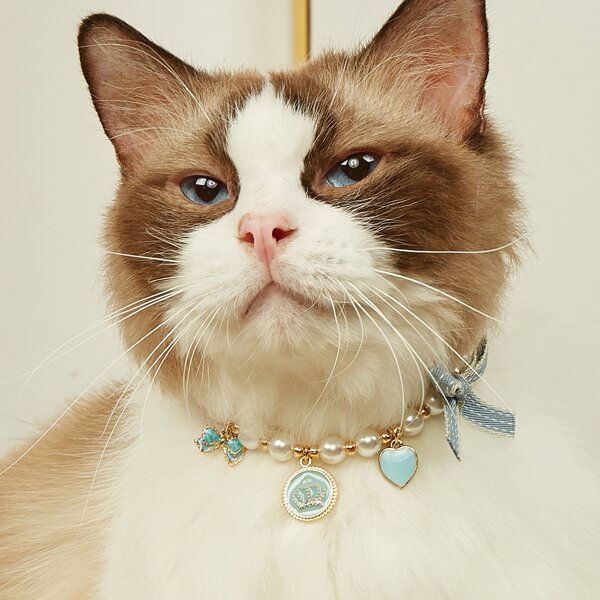 

Bow Decor Pet Pearl Necklace, Blue