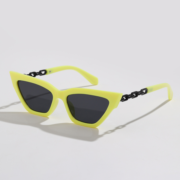 

Acrylic Frame Sunglasses