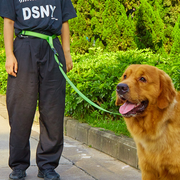 

1pc Pet Outdoor Running Leash With Adult Belt, Green