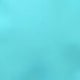 Mint Blue