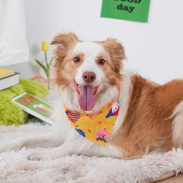 

Clown Print Pet Scarf, Yellow