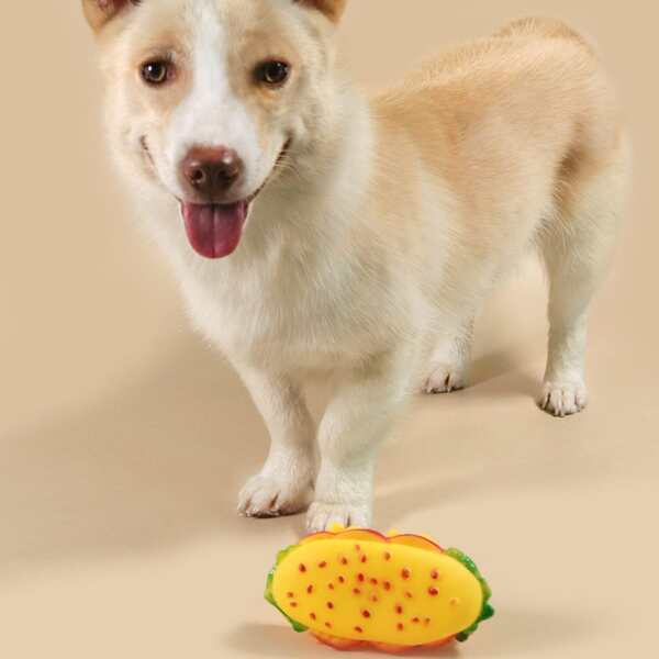

Hamburger Shaped Pet Sound Toy, Multicolor