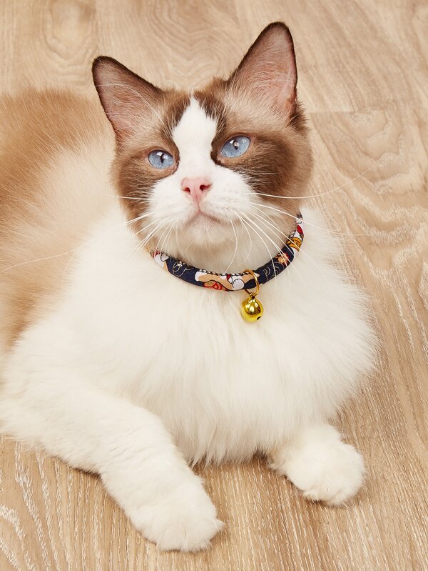 1 件可调节宠物项圈带铃铛，适用于猫，宠物装饰