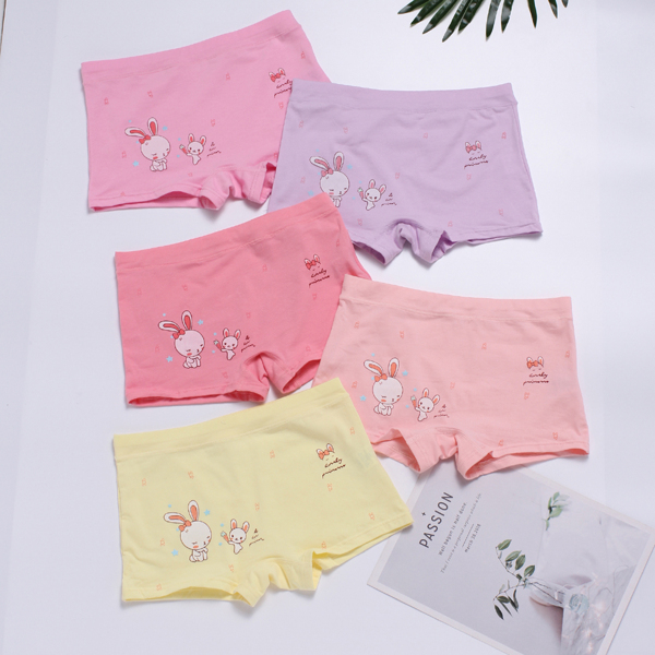 

Toddler Girls 5 Pack Cartoon Graphic Shortie Brief, Multicolor