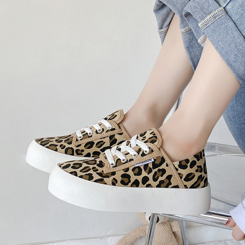 

Leopard Lace-up Front Canvas Shoes, Brown