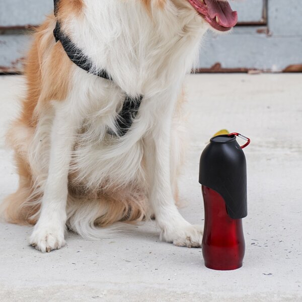 

1pc Portable Pet Travel Water Bottle, Red