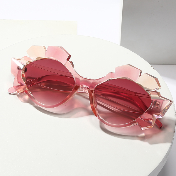 

Structured Frame Sunglasses