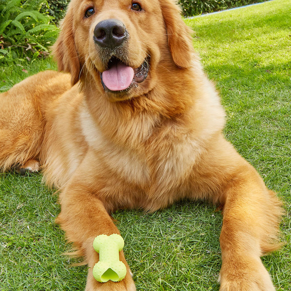 

1pc Bone Shaped Pet Chew Toy, Lime green