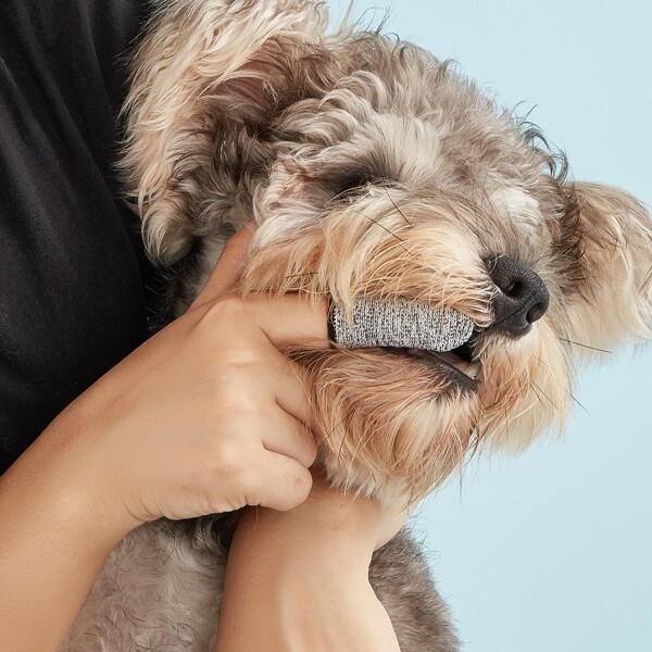 

2pcs Finger Cover Pet Toothbrush Cleaner, Light grey