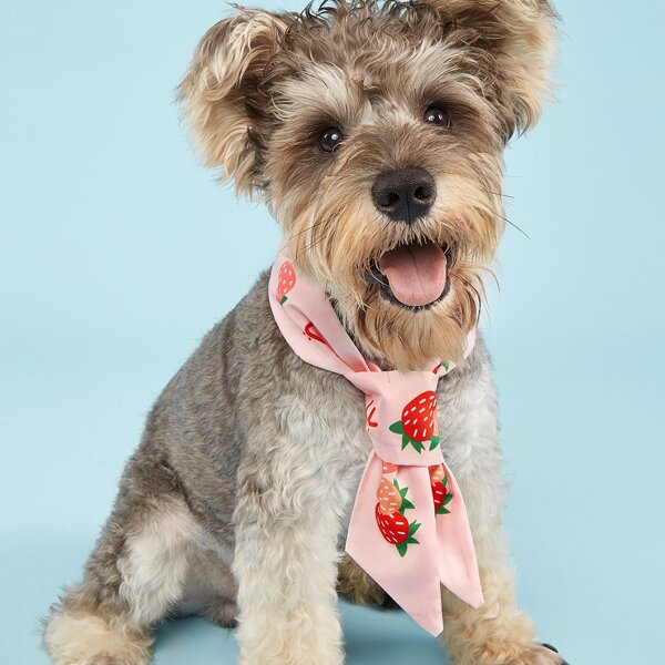 

Strawberry Print Pet Scarf, Pink