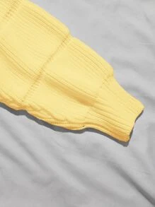 Franclia Ribbed Knit Solid Crop Sweater,Long Sleeve Tops Knit Pullover Fall Winter Outfit - Yellow - View 4