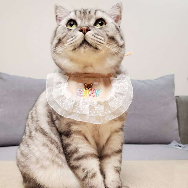 

Cartoon Embroidery Pet Lace Bandana, Yellow