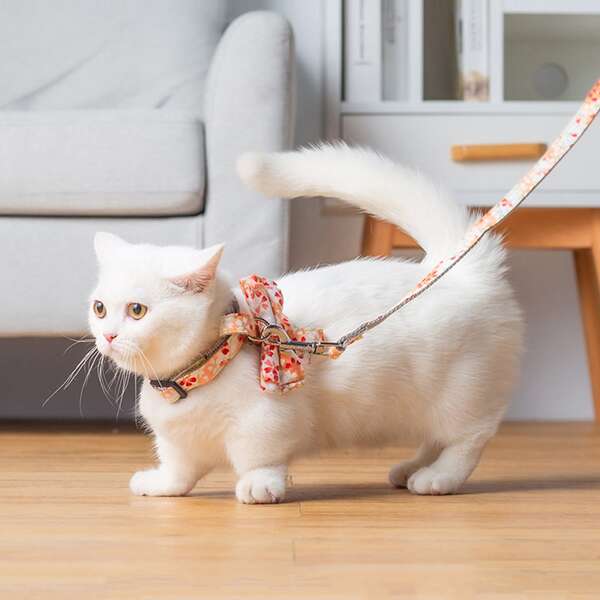 

1pc Flower Print Pet Harness & 1pc Leash, Multicolor