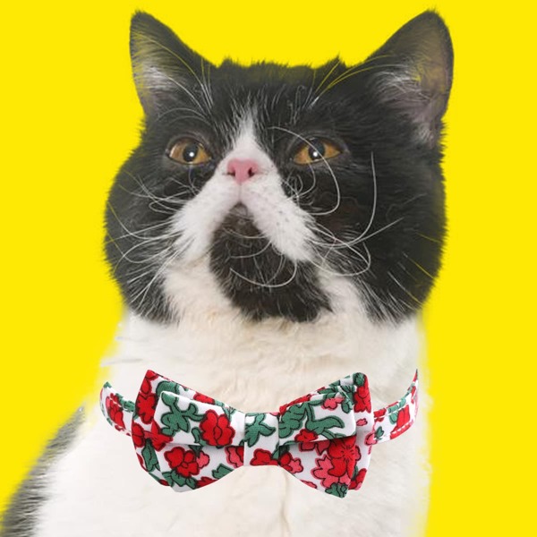 

Flower Print Bow Pet Collar, Multicolor
