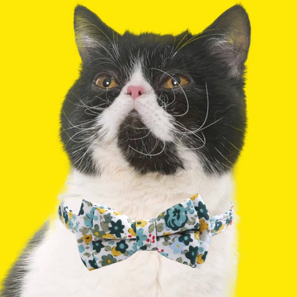 

Flower Print Bow Decor Pet Collar, Multicolor