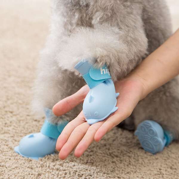 

4pcs Dolphin Design Pet Rain Boots, Blue