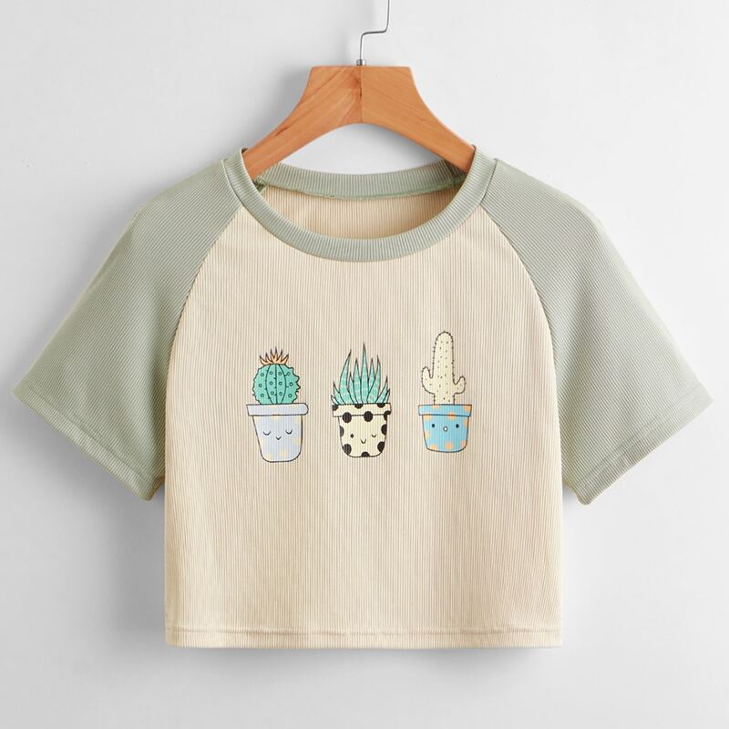 

Plants Graphic Colorblock Tee, Multicolor