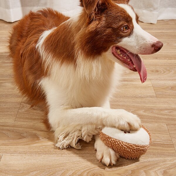 

1pc Plush Pet Sound Toy, Multicolor