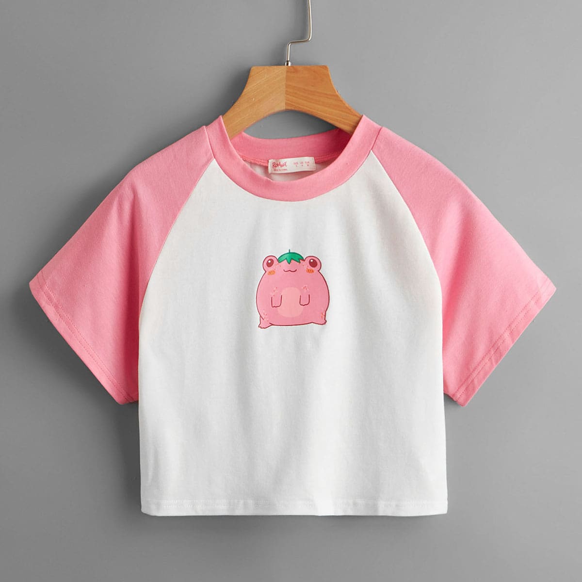 

Cartoon Frog Colorblock Crop Tee, Multicolor